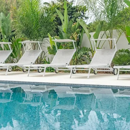 Giovannina N3 * Cassis